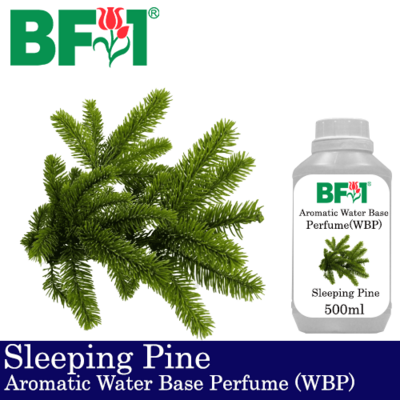 Aromatic Water Base Perfume (WBP) - Sleeping Pine - 500ml Diffuser Perfume