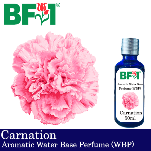 Aromatic Water Base Perfume (WBP) - Carnation - 50ml Diffuser Perfume
