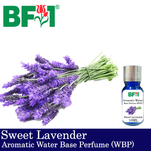 Aromatic Water Base Perfume (WBP) - Sweet Lavender - 10ml Diffuser Perfume