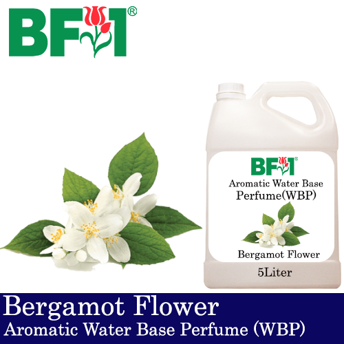 Aromatic Water Base Perfume (WBP) - Bergamot Flower - 5L Diffuser Perfume