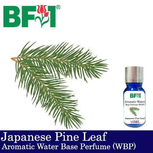 Aromatic Water Base Perfume (WBP) - Japanese Pine Leaf - 10ml Diffuser Perfume