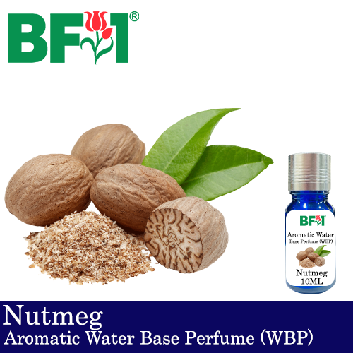 Aromatic Water Base Perfume (WBP) - Nutmeg - 10ml Diffuser Perfume