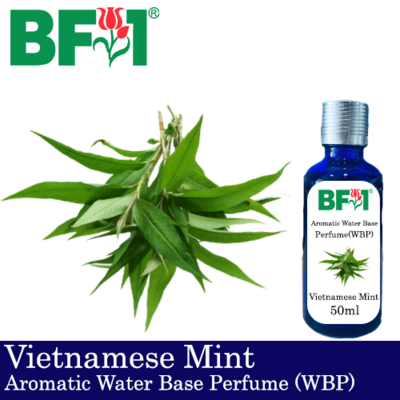 Aromatic Water Base Perfume (WBP) - Vietnamese Mint - 50ml Diffuser Perfume