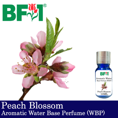 Aromatic Water Base Perfume (WBP) - Peach Blossom - 10ml Diffuser Perfume