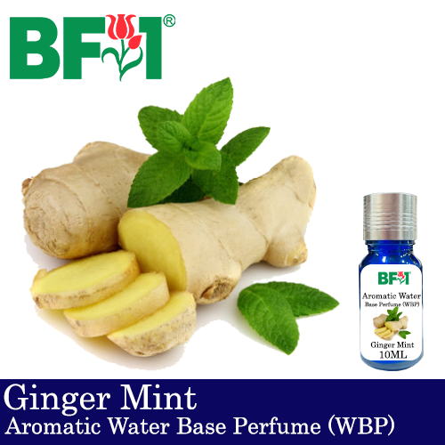 Aromatic Water Base Perfume (WBP) - Ginger Mint - 10ml Diffuser Perfume