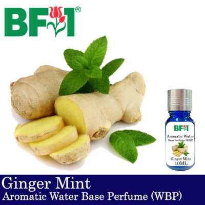 Aromatic Water Base Perfume (WBP) - Ginger Mint - 10ml Diffuser Perfume