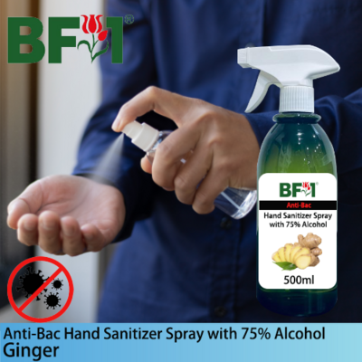 Anti-Bac Hand Sanitizer Spray with 75% Alcohol (ABHSS) - Ginger - 500ml