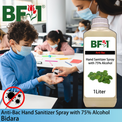 Anti-Bac Hand Sanitizer Spray with 75% Alcohol (ABHSS) - Bidara - 1L