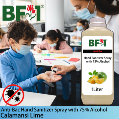 Anti-Bac Hand Sanitizer Spray with 75% Alcohol (ABHSS) - lime - Calamansi Lime - 1L