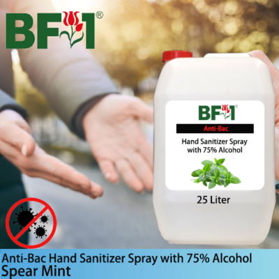 Anti-Bac Hand Sanitizer Spray with 75% Alcohol (ABHSS) - mint - Spear Mint - 25L
