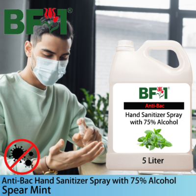 Anti-Bac Hand Sanitizer Spray with 75% Alcohol (ABHSS) - mint - Spear Mint - 5L
