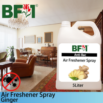 Air Freshener Spray - Ginger - 5L