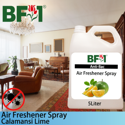 Air Freshener Spray - lime - Calamansi Lime - 5L