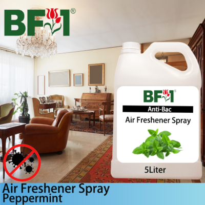Air Freshener Spray - mint - Peppermint - 5L