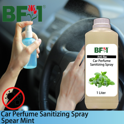 Car Perfume Sanitizing Spray - mint - Spear Mint - 1L