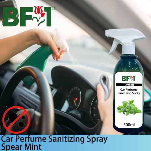 Car Perfume Sanitizing Spray - mint - Spear Mint - 500ml