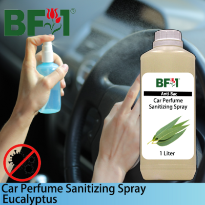 Car Perfume Sanitizing Spray - Eucalyptus - 1L