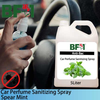 Car Perfume Sanitizing Spray - mint - Spear Mint - 5L