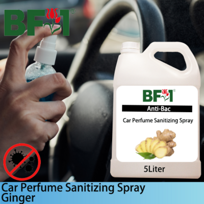 Car Perfume Sanitizing Spray - Ginger - 5L