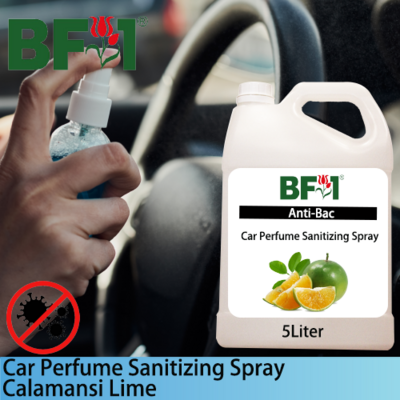 Car Perfume Sanitizing Spray - lime - Calamansi Lime - 5L