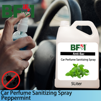 Car Perfume Sanitizing Spray - mint - Peppermint - 5L