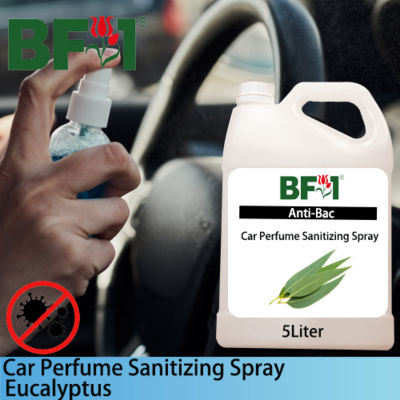 Car Perfume Sanitizing Spray - Eucalyptus - 5L