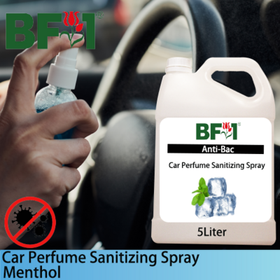 Car Perfume Sanitizing Spray - Menthol - 5L