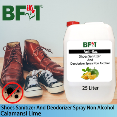 Anti-Bac Shoes Sanitizer and Deodorizer Spray (ABSSD) - Non Alcohol with lime - Calamansi Lime - 25L