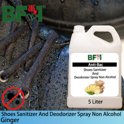 Anti-Bac Shoes Sanitizer and Deodorizer Spray (ABSSD) - Non Alcohol with Ginger - 5L