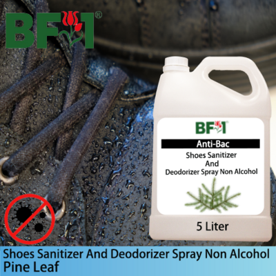 Anti-Bac Shoes Sanitizer and Deodorizer Spray (ABSSD) - Non Alcohol with Pine Leaf - 5L