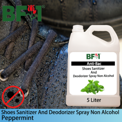 Anti-Bac Shoes Sanitizer and Deodorizer Spray (ABSSD) - Non Alcohol with mint - Peppermint - 5L