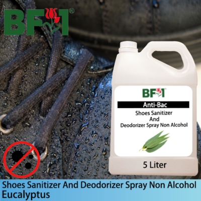 Anti-Bac Shoes Sanitizer and Deodorizer Spray (ABSSD) - Non Alcohol with Eucalyptus - 5L