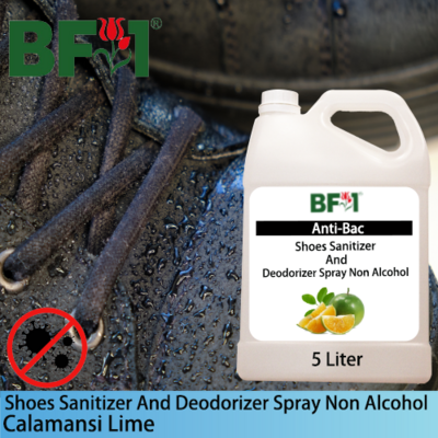 Anti-Bac Shoes Sanitizer and Deodorizer Spray (ABSSD) - Non Alcohol with lime - Calamansi Lime - 5L
