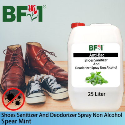 Anti-Bac Shoes Sanitizer and Deodorizer Spray (ABSSD) - Non Alcohol with mint - Spear Mint - 25L
