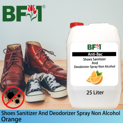 Anti-Bac Shoes Sanitizer and Deodorizer Spray (ABSSD) - Non Alcohol with Orange - 25L