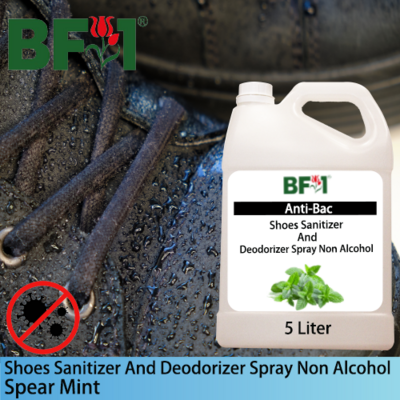 Anti-Bac Shoes Sanitizer and Deodorizer Spray (ABSSD) - Non Alcohol with mint - Spear Mint - 5L