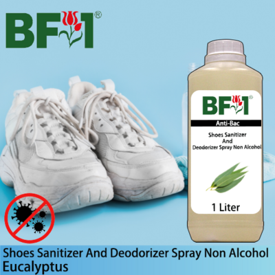Anti-Bac Shoes Sanitizer and Deodorizer Spray (ABSSD) - Non Alcohol with Eucalyptus - 1L
