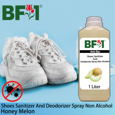 Anti-Bac Shoes Sanitizer and Deodorizer Spray (ABSSD) - Non Alcohol with Honey Melon - 1L