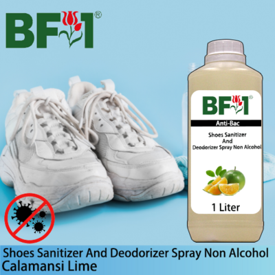 Anti-Bac Shoes Sanitizer and Deodorizer Spray (ABSSD) - Non Alcohol with lime - Calamansi Lime - 1L