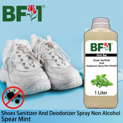 Anti-Bac Shoes Sanitizer and Deodorizer Spray (ABSSD) - Non Alcohol with mint - Spear Mint - 1L