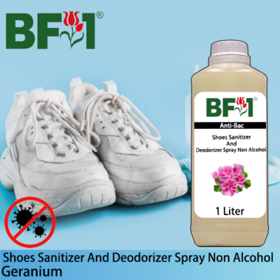 Anti-Bac Shoes Sanitizer and Deodorizer Spray (ABSSD) - Non Alcohol with Geranium - 1L