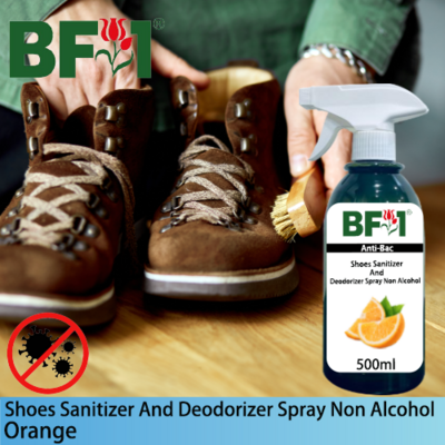 Anti-Bac Shoes Sanitizer and Deodorizer Spray (ABSSD) - Non Alcohol with Orange - 500ml