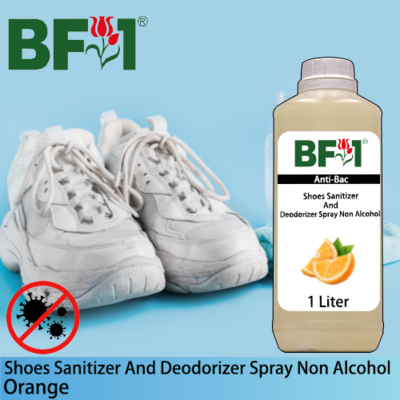 Anti-Bac Shoes Sanitizer and Deodorizer Spray (ABSSD) - Non Alcohol with Orange - 1L