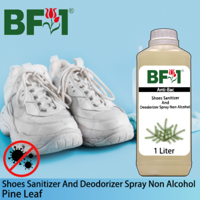 Anti-Bac Shoes Sanitizer and Deodorizer Spray (ABSSD) - Non Alcohol with Pine Leaf - 1L