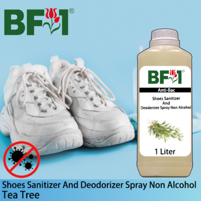 Anti-Bac Shoes Sanitizer and Deodorizer Spray (ABSSD) - Non Alcohol with Tea Tree - 1L