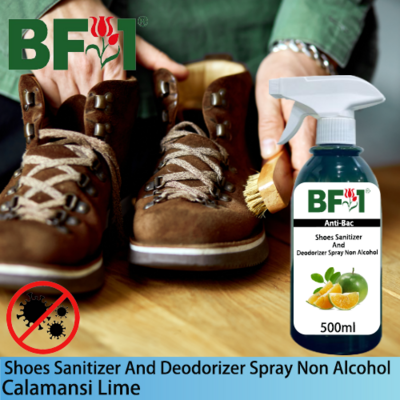 Anti-Bac Shoes Sanitizer and Deodorizer Spray (ABSSD) - Non Alcohol with lime - Calamansi Lime - 500ml