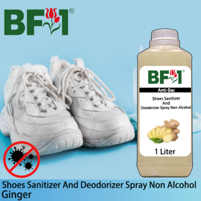 Anti-Bac Shoes Sanitizer and Deodorizer Spray (ABSSD) - Non Alcohol with Ginger - 1L