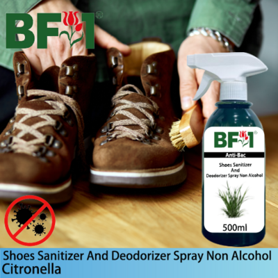 Anti-Bac Shoes Sanitizer and Deodorizer Spray (ABSSD) - Non Alcohol with Citronella - 500ml