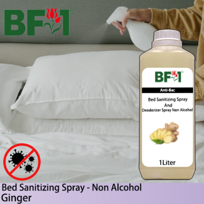 Bed Sanitizing Spray - Ginger - 1L