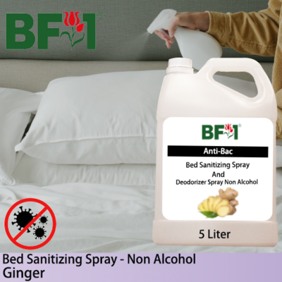 Bed Sanitizing Spray - Ginger - 5L
